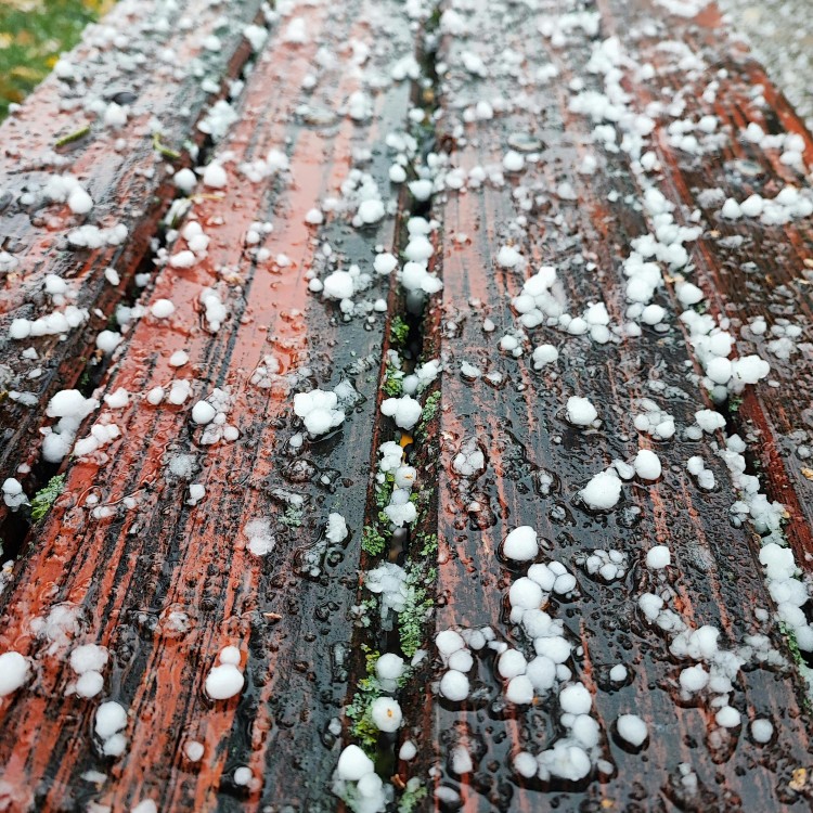 Hailstones on Wooden Surface After Storm