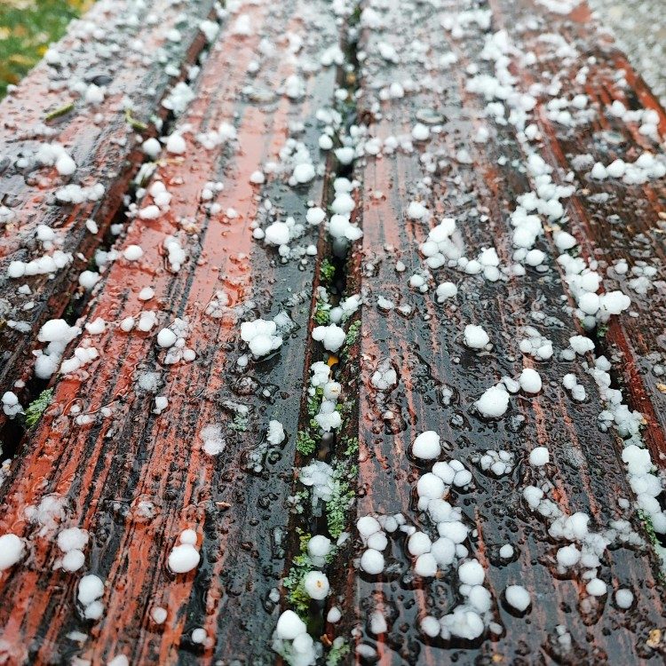 Hailstones on Wooden Surface After Storm
